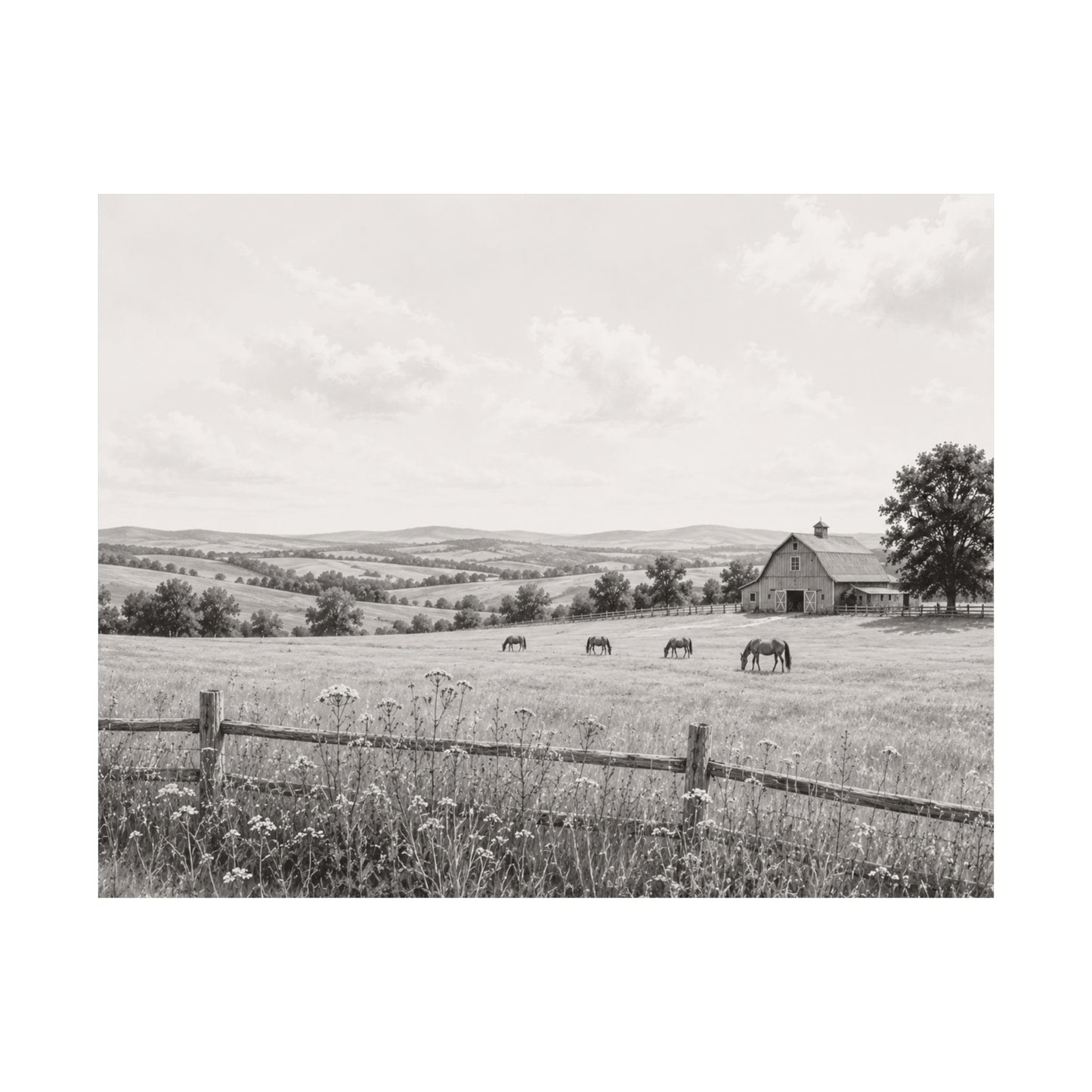Quiet Pastures — A Monochrome Companion