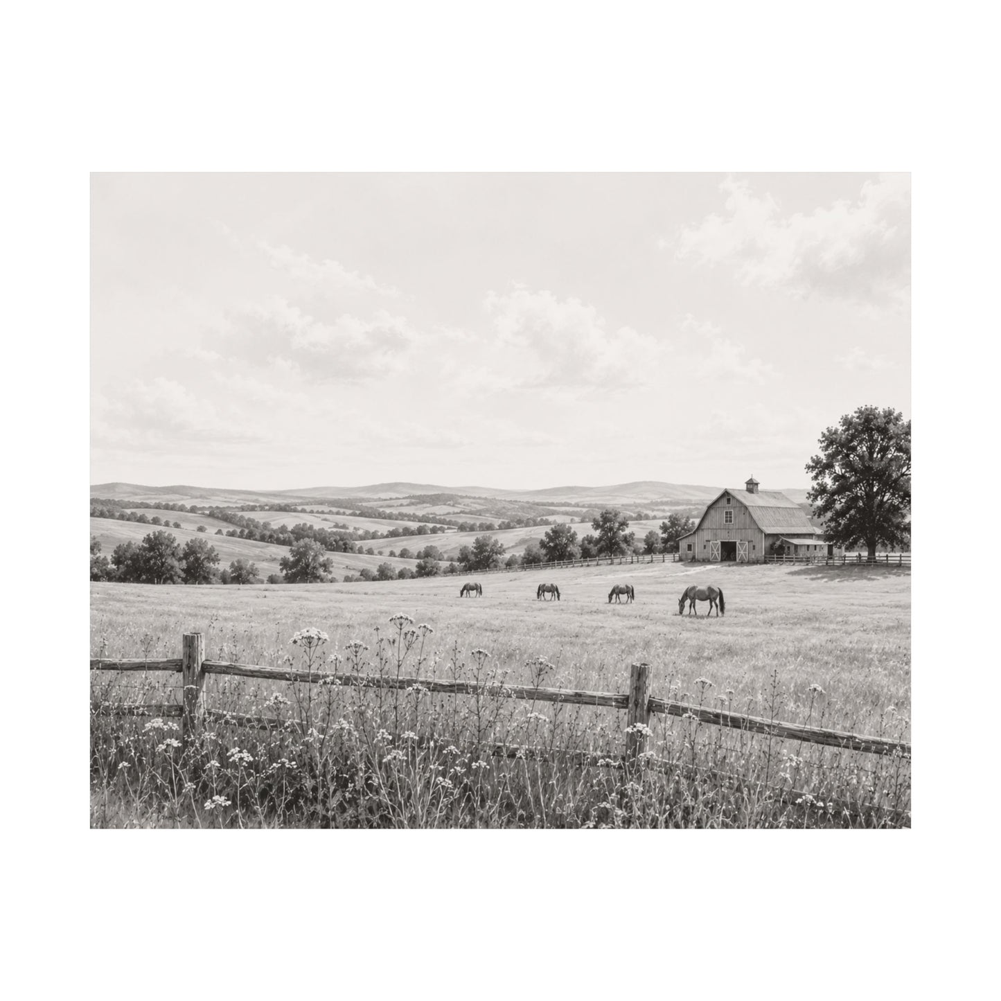 Quiet Pastures — A Monochrome Companion