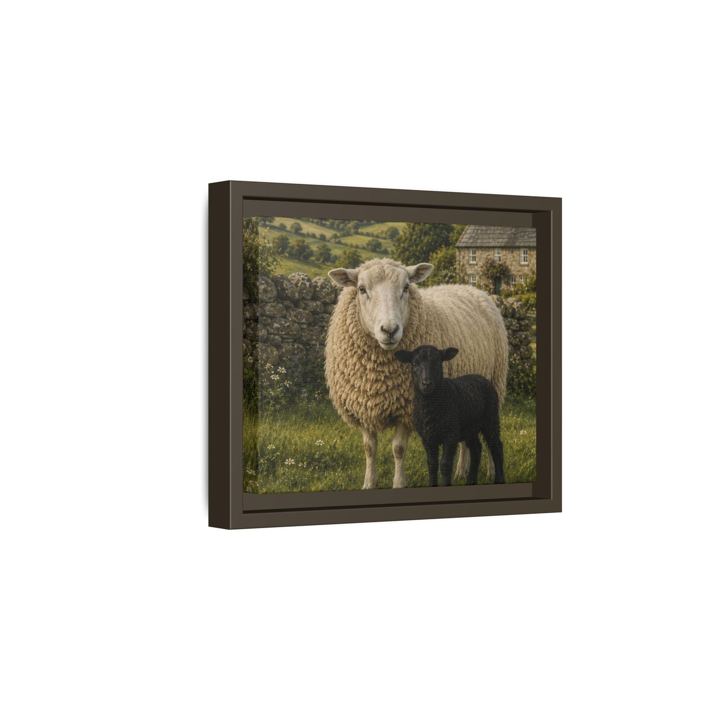 Mother’s Meadow: Black Lamb in the English Countryside”