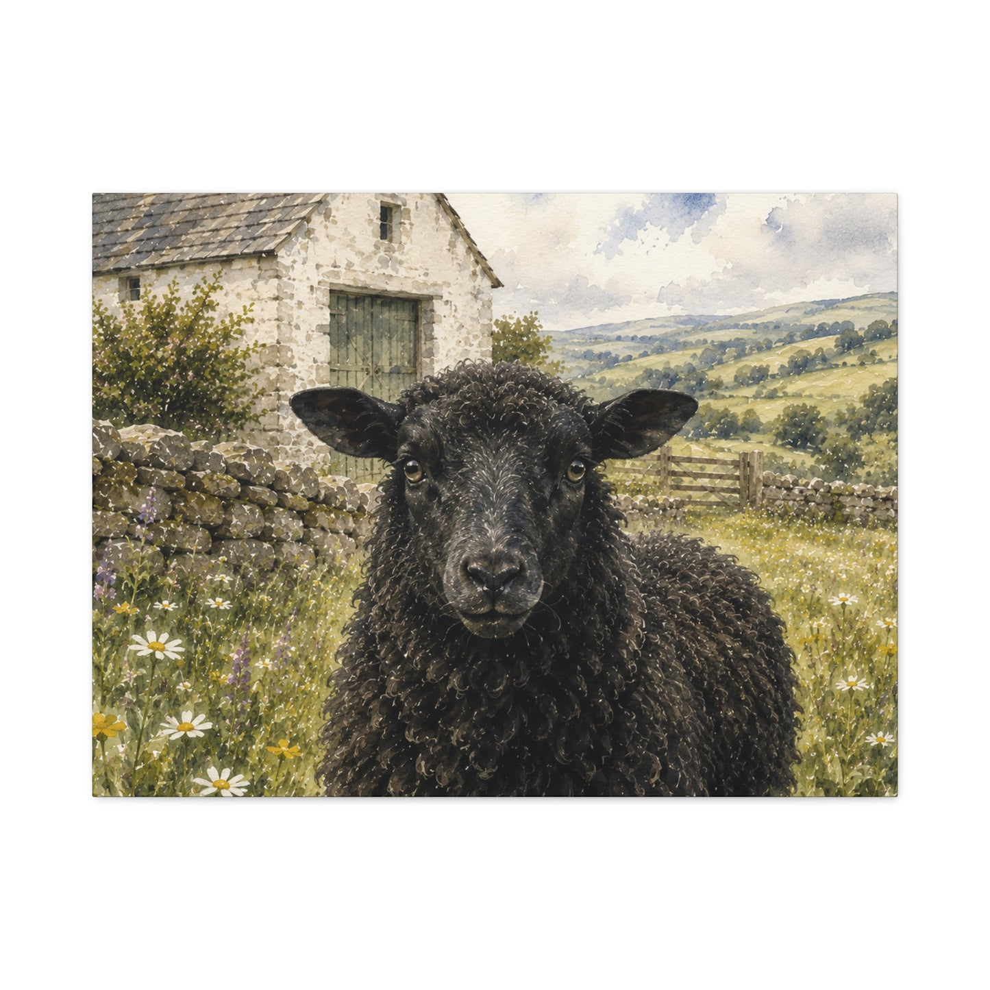 The Black Sheep: Watercolor of the English Countryside”