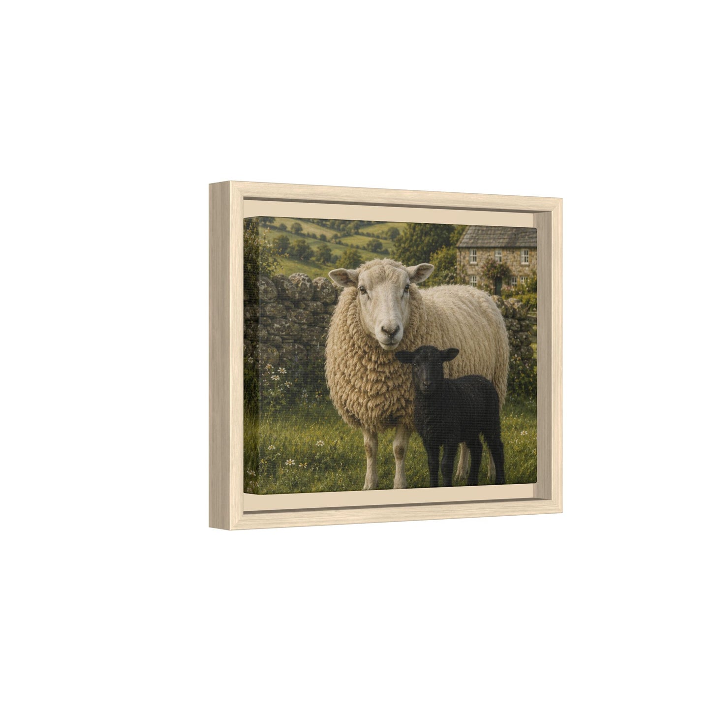 Mother’s Meadow: Black Lamb in the English Countryside”