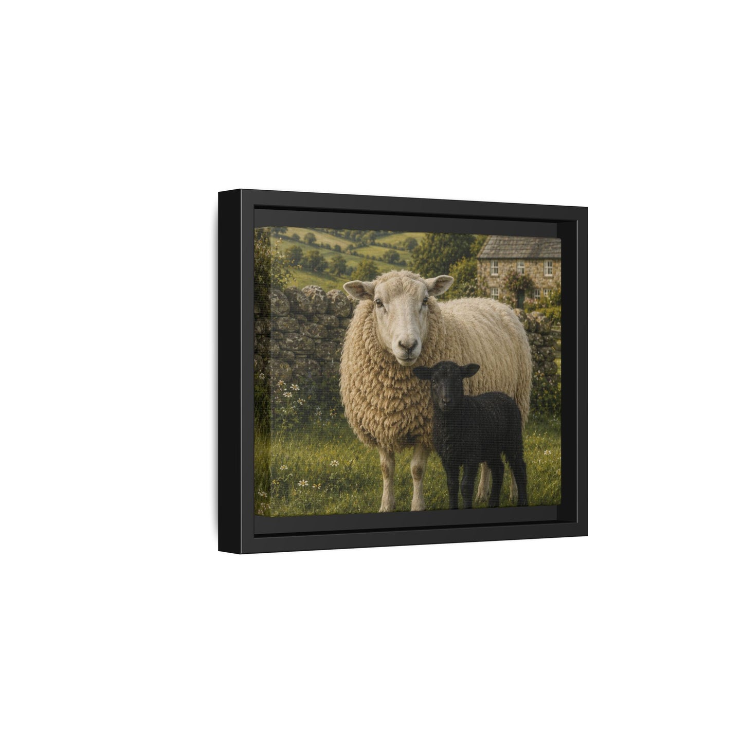 Mother’s Meadow: Black Lamb in the English Countryside”