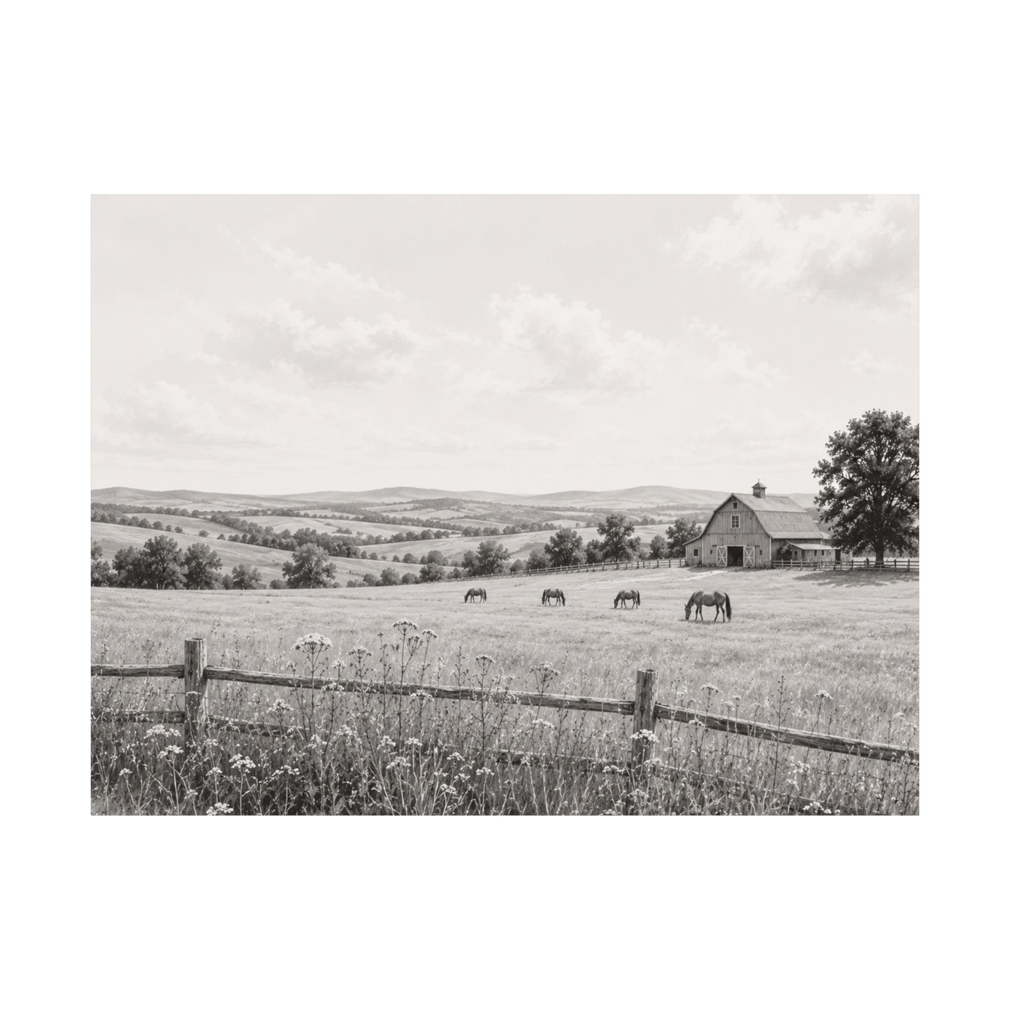 Quiet Pastures — A Monochrome Companion